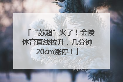 “苏超”火了！金陵体育直线拉升，几分钟20cm涨停！