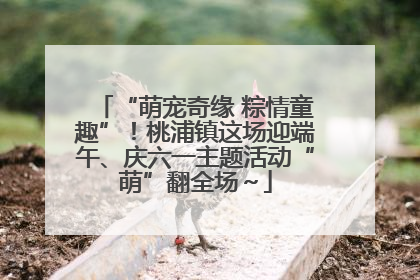 “萌宠奇缘 粽情童趣”！桃浦镇这场迎端午、庆六一主题活动“萌”翻全场～