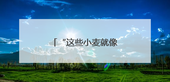 “这些小麦就像我的孩子一样”