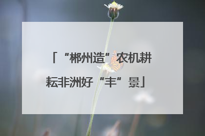 “郴州造”农机耕耘非洲好“丰”景