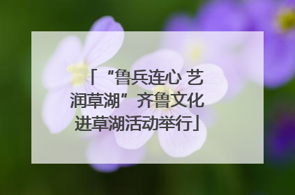“鲁兵连心 艺润草湖”齐鲁文化进草湖活动举行