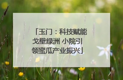 玉门：科技赋能戈壁绿洲 小院引领蜜瓜产业振兴