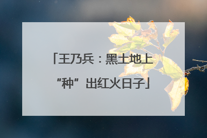 王乃兵：黑土地上“种”出红火日子