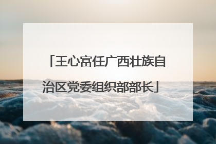 王心富任广西壮族自治区党委组织部部长