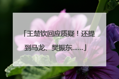 王楚钦回应质疑！还提到马龙、樊振东……
