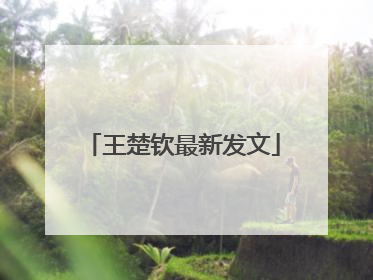 王楚钦最新发文