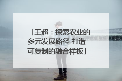 王超：探索农业的多元发展路径 打造可复制的融合样板