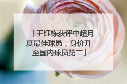 王钰栋获评中超月度最佳球员，身价升至国内球员第二
