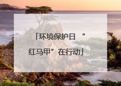 环境保护日 “红马甲”在行动