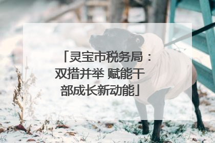 灵宝市税务局：双措并举 赋能干部成长新动能