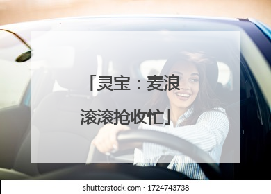 灵宝：麦浪滚滚抢收忙