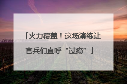 火力覆盖！这场演练让官兵们直呼“过瘾”