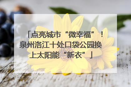 点亮城市“微幸福”！泉州洛江十处口袋公园换上太阳能“新衣”