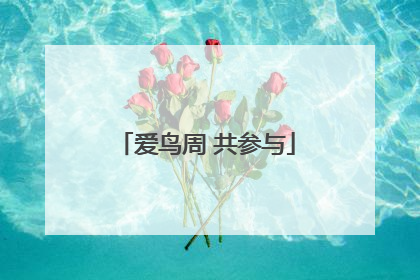爱鸟周 共参与
