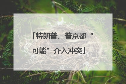 特朗普、普京都“可能”介入冲突