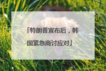 特朗普宣布后,韩国紧急商讨应对