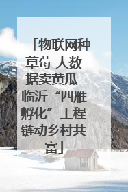 物联网种草莓 大数据卖黄瓜 临沂“四雁孵化”工程链动乡村共富