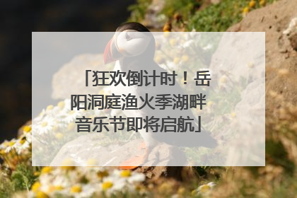 狂欢倒计时！岳阳洞庭渔火季湖畔音乐节即将启航