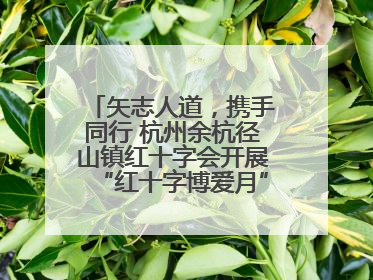 矢志人道，携手同行 杭州余杭径山镇红十字会开展“红十字博爱月”系列活动