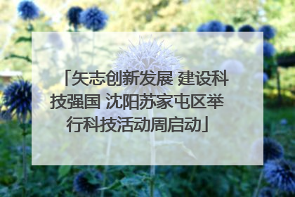 矢志创新发展 建设科技强国 沈阳苏家屯区举行科技活动周启动