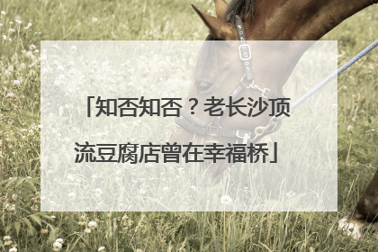 知否知否？老长沙顶流豆腐店曾在幸福桥