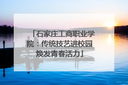 石家庄工商职业学院：传统技艺进校园焕发青春活力