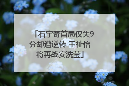 石宇奇首局仅失9分却遭逆转 王祉怡将再战安洗莹