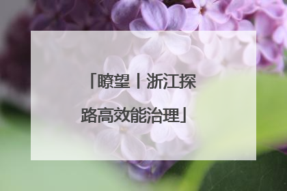 瞭望丨浙江探路高效能治理