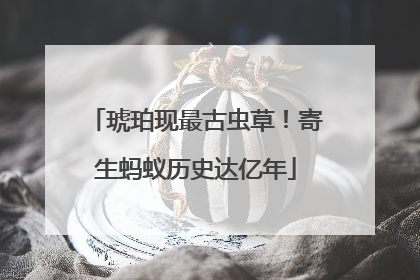 琥珀现最古虫草！寄生蚂蚁历史达亿年