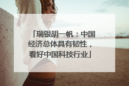 瑞银胡一帆：中国经济总体具有韧性，看好中国科技行业