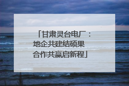 甘肃灵台电厂：地企共建结硕果 合作共赢启新程