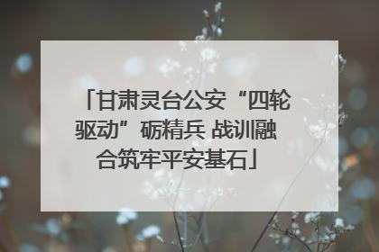 甘肃灵台公安“四轮驱动”砺精兵 战训融合筑牢平安基石