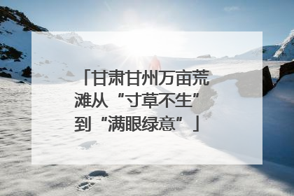 甘肃甘州万亩荒滩从“寸草不生”到“满眼绿意”