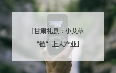 甘肃礼县：小艾草“链”上大产业