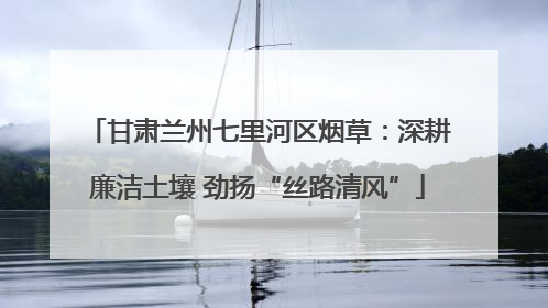 甘肃兰州七里河区烟草：深耕廉洁土壤 劲扬“丝路清风”
