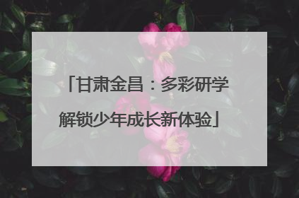 甘肃金昌：多彩研学解锁少年成长新体验
