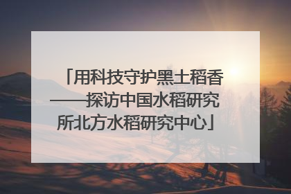 用科技守护黑土稻香——探访中国水稻研究所北方水稻研究中心