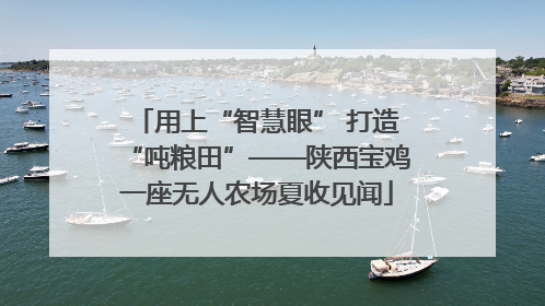 用上“智慧眼” 打造“吨粮田”——陕西宝鸡一座无人农场夏收见闻