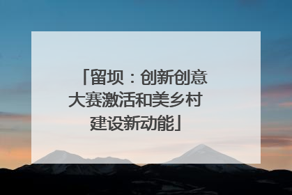 留坝：创新创意大赛激活和美乡村建设新动能