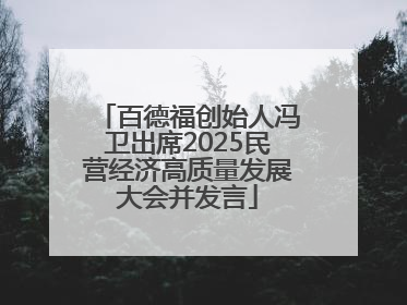 百德福创始人冯卫出席2025民营经济高质量发展大会并发言