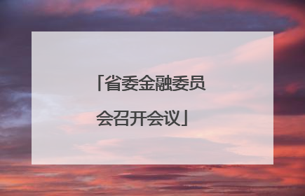 省委金融委员会召开会议