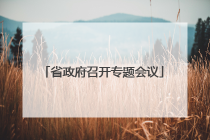 省政府召开专题会议