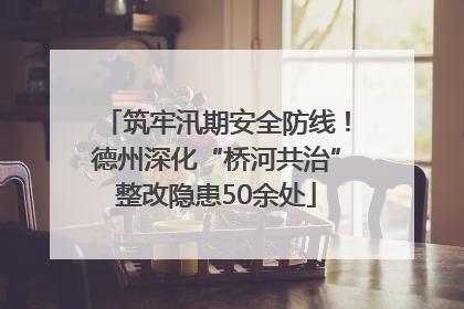 筑牢汛期安全防线！德州深化“桥河共治”整改隐患50余处