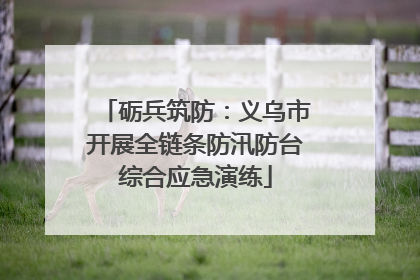 砺兵筑防：义乌市开展全链条防汛防台综合应急演练