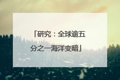 研究：全球逾五分之一海洋变暗