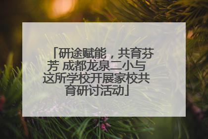 研途赋能，共育芬芳 成都龙泉二小与这所学校开展家校共育研讨活动