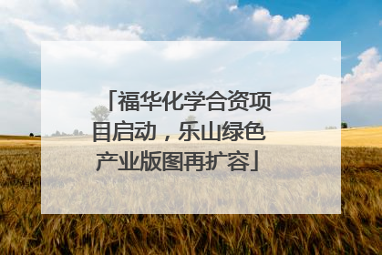 福华化学合资项目启动，乐山绿色产业版图再扩容