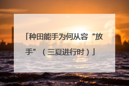 种田能手为何从容“放手”（三夏进行时）