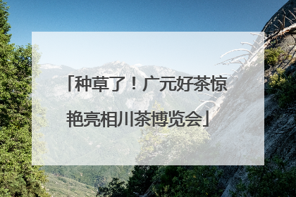 种草了！广元好茶惊艳亮相川茶博览会