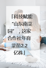 科技赋能“山东南菜园”，这家合作社年育菜苗2.2亿株